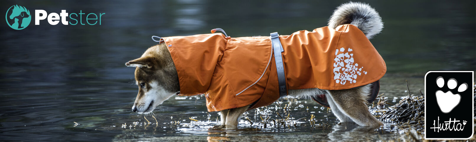 Hurtta dog store raincoat